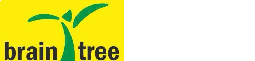 Brain Tree IAS Academy Hyderabad Logo